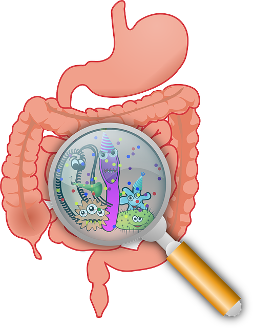 microbiote-flore-intestinale-intestin-bactéries